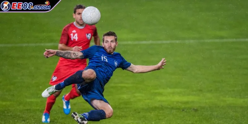 Chọn đội trên phong độ ổn định